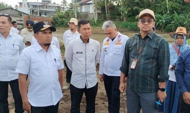 Wabup Solok Tinjau Lokasi Ground Breaking Rehabilitasi Lahan Sawah Pascabencana Hidrometeorologi